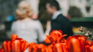 О каком сексе на одну ночь не жалеют женщины — исследование