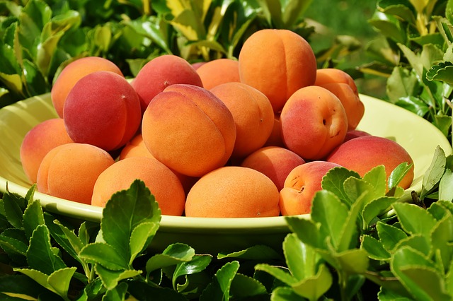 Заготовка фруктов и овощей на зиму без консервации Фото 2