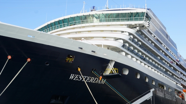 4 страны отказались принять лайнер Westerdam из-за подозрения на коронавирус