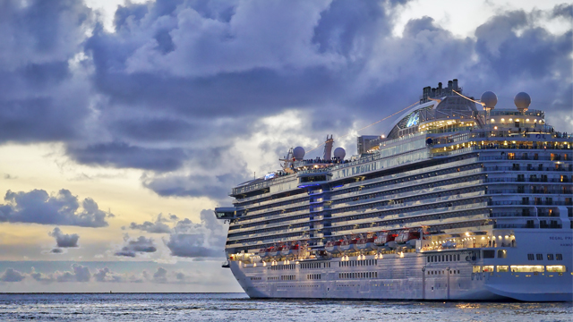 На борту лайнера Diamond Princess подтвердили еще 10 случаев заражения коронавирусом