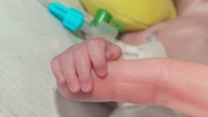 Вытянула из коляски собака: полуторамесячный мальчик погиб из-за овчарки в Ровенской области