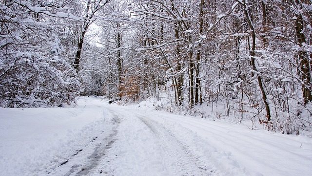 Забезпечать їжею та паливом: в Україні розгорнуть пункти обігріву