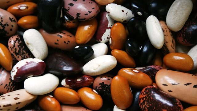 фасоль, квасоля