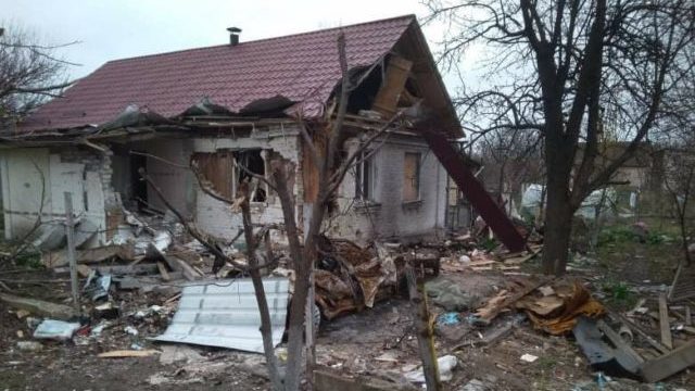 Димер, Козаровичі