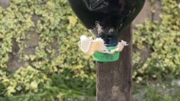 фільтр для води вдома