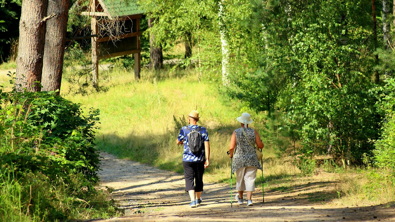 літні люди у парку