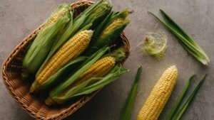 Як зберігати кукурудзу в качанах