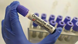 розповсюдження вірусу Оропуш