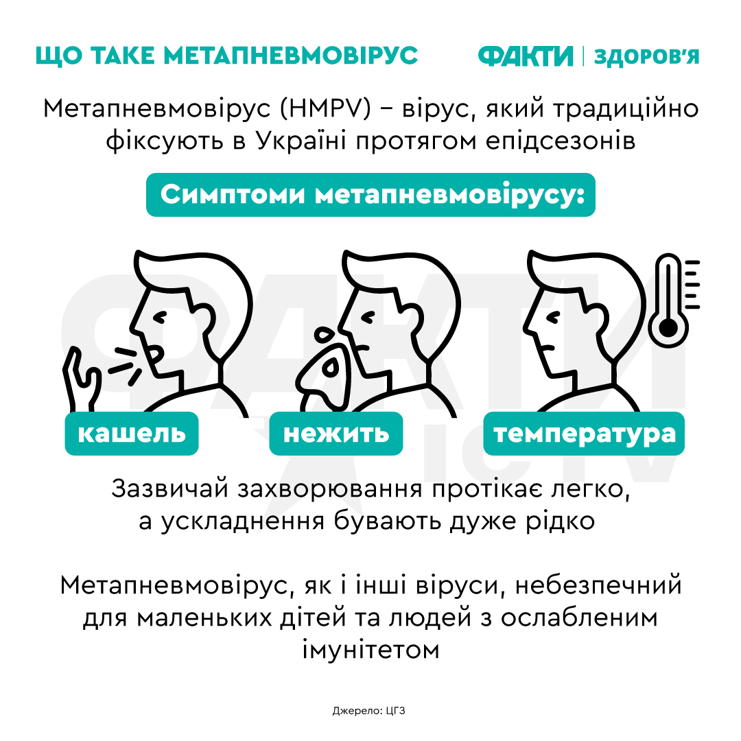 метапневмовірус