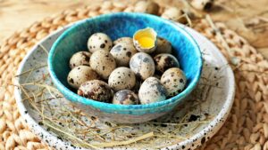 Перепелині яйця: користь, можлива шкода та кому не можна їсти перепелині яйця