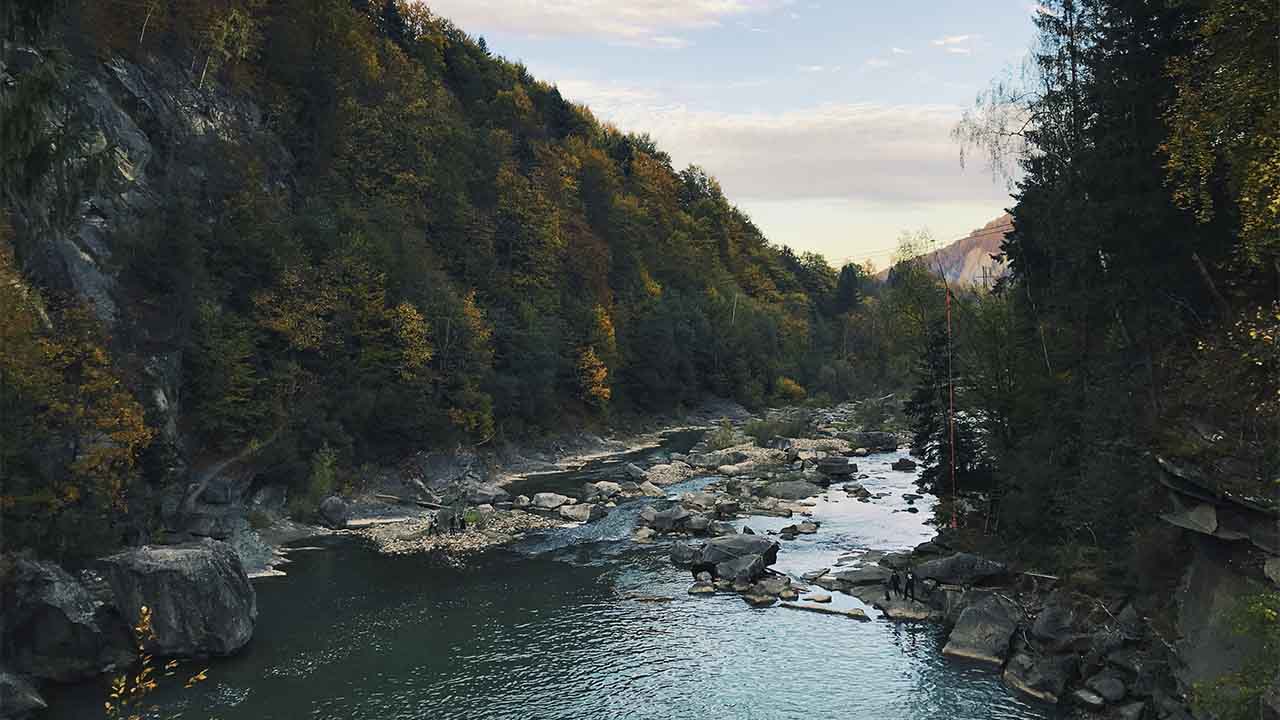 Карпати