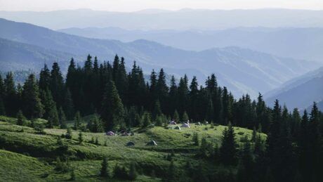 Карпати